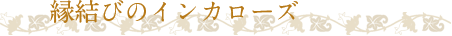 縁結びのインカローズ