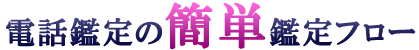 電話鑑定の簡単鑑定フロー
